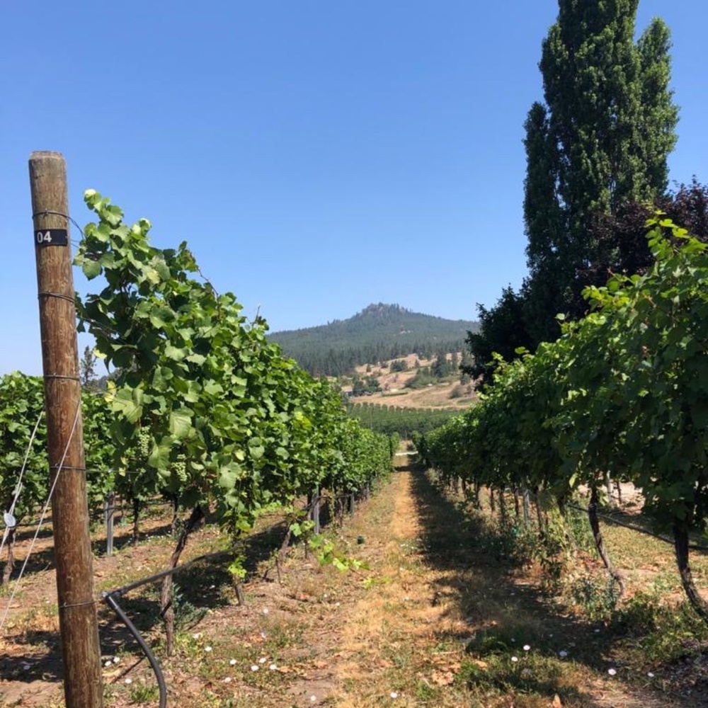 Meet your Posher, Kevin